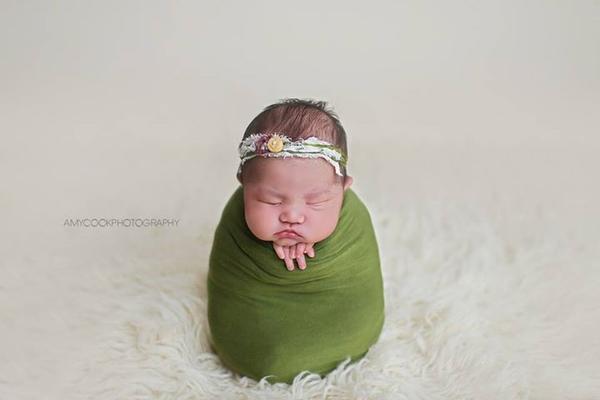 Newborn Photography Course by Amy Cook Photography + Videos!