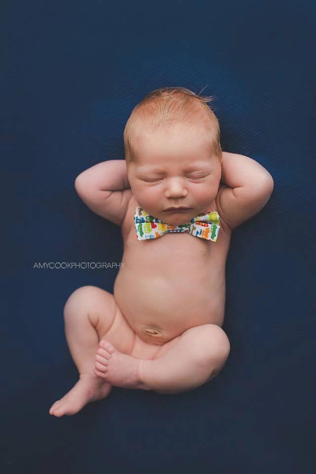 Amy Cook Photography Newborn Videos and E-Workbook