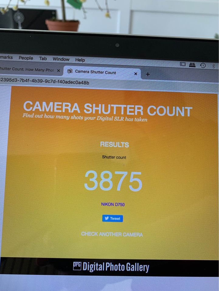 New Looking Nikon D750 FX-format Digital SLR Camera