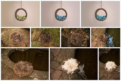 The Beautiful Newborn Boy Backdrop Collection {Includes 30 Backdrops}