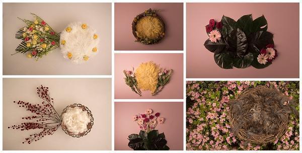 Little Nugget Newborn Girl Backdrop Collection {Includes 35 Backdrops}