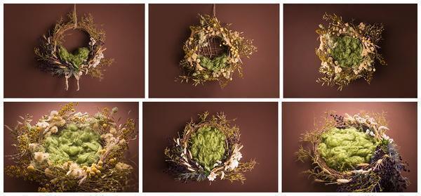 Dreamer Newborn Girl Backdrop Collection {Includes 35 Backdrops}