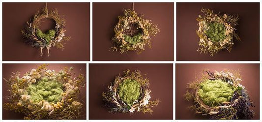 Dreamer Newborn Girl Backdrop Collection {Includes 35 Backdrops}