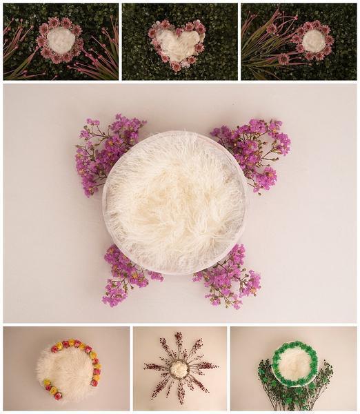 Complete Digital Newborn Backdrop Bundle *ALL OF THEM* + Tutorial Videos!