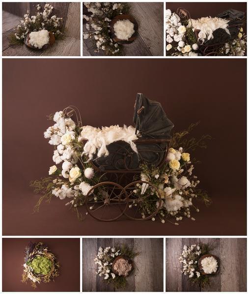 Itty Bitty Newborn Girl Backdrop Collection {Includes 35 Backdrops}