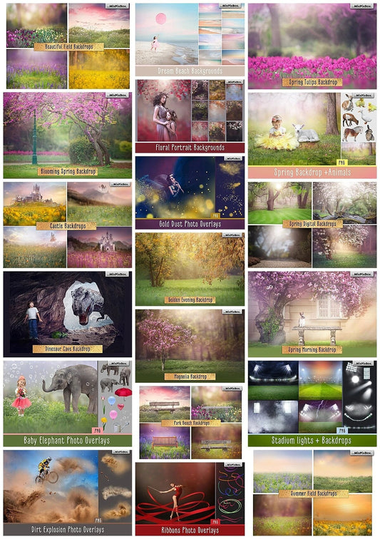 2020 Photo Overlay Bundle: Beach Backgrounds, Dirt Explosion, Stadium Light, Animal Overlays, Ribbon, Floral + more!