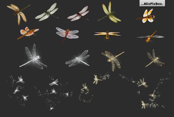 1700+ Photo Overlays, Long Exposure, Glitter, Number Balloons, Digital Papers + More!