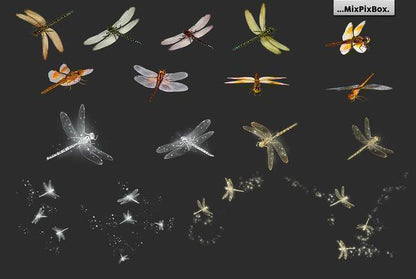 1700+ Photo Overlays, Long Exposure, Glitter, Number Balloons, Digital Papers + More!