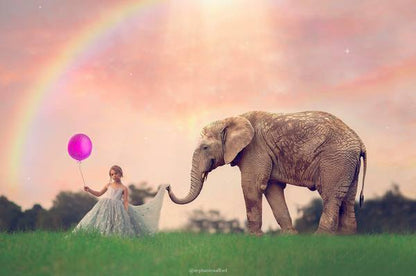 Imagine Series: Step by Step Composite Videos by Stephanie Stafford