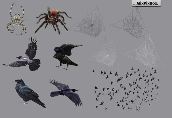 Spooky Halloween Photo Overlay Collection