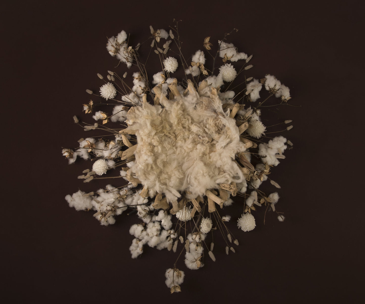 Dreamer Newborn Girl Backdrop Collection {Includes 35 Backdrops}