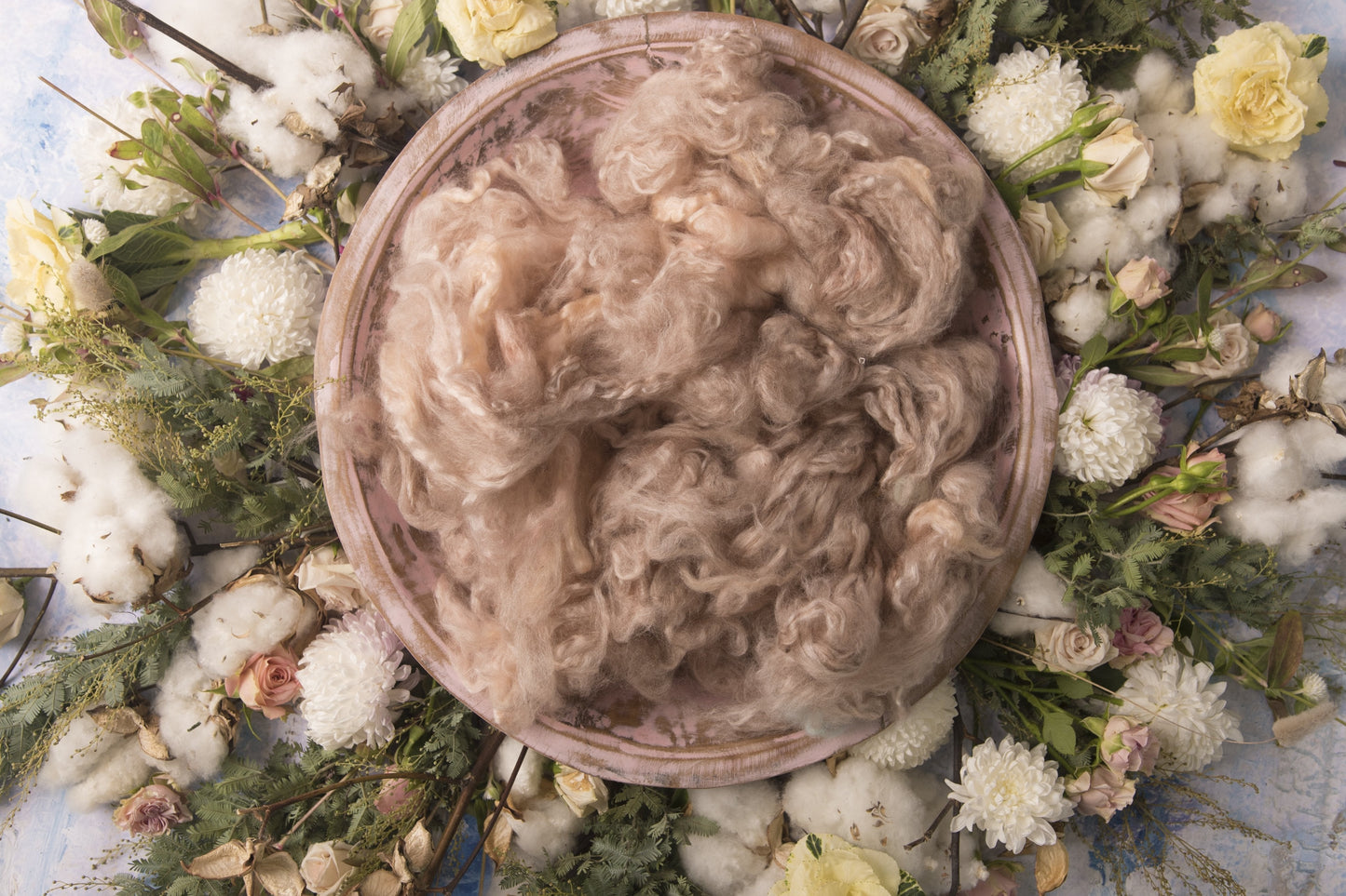 Dreamer Newborn Girl Backdrop Collection {Includes 35 Backdrops}