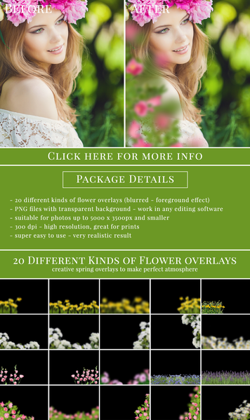 Spring Overlay Bundle: Bunnies, Magnolia, Butterflies, Lilacs, trees + more!