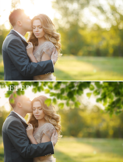 Spring Overlay Bundle: Bunnies, Magnolia, Butterflies, Lilacs, trees + more!