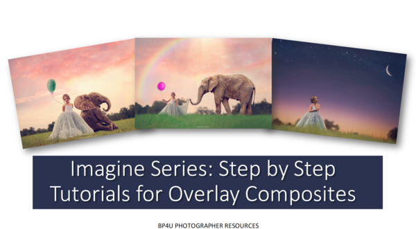 Imagine Series: Step by Step Composite Videos by Stephanie Stafford