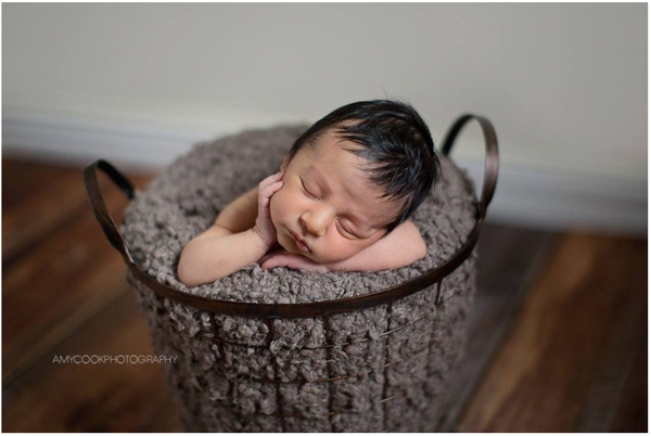 Newborn Photography Course by Amy Cook Photography + Videos!