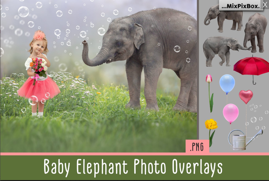 2020 Photo Overlay Bundle: Beach Backgrounds, Dirt Explosion, Stadium Light, Animal Overlays, Ribbon, Floral + more!
