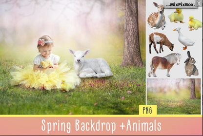 2020 Photo Overlay Bundle: Beach Backgrounds, Dirt Explosion, Stadium Light, Animal Overlays, Ribbon, Floral + more!