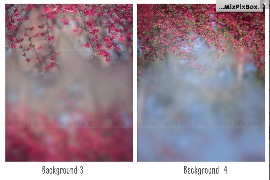 2020 Photo Overlay Bundle: Beach Backgrounds, Dirt Explosion, Stadium Light, Animal Overlays, Ribbon, Floral + more!