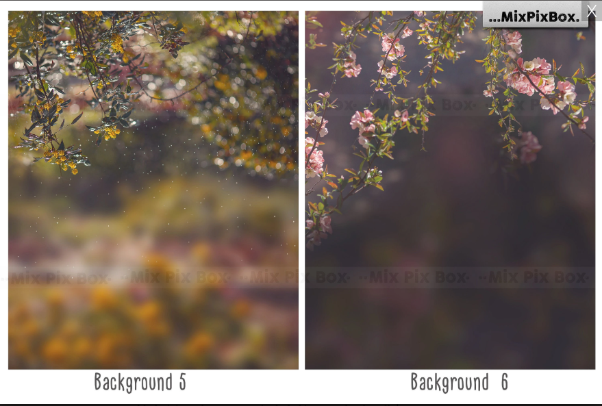 2020 Photo Overlay Bundle: Beach Backgrounds, Dirt Explosion, Stadium Light, Animal Overlays, Ribbon, Floral + more!