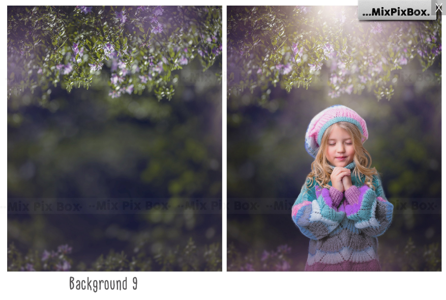 2020 Photo Overlay Bundle: Beach Backgrounds, Dirt Explosion, Stadium Light, Animal Overlays, Ribbon, Floral + more!