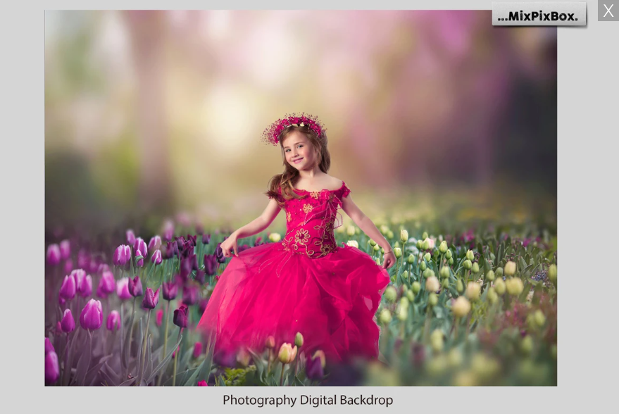 2020 Photo Overlay Bundle: Beach Backgrounds, Dirt Explosion, Stadium Light, Animal Overlays, Ribbon, Floral + more!