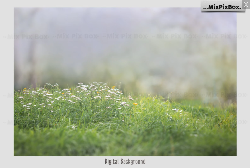 2020 Photo Overlay Bundle: Beach Backgrounds, Dirt Explosion, Stadium Light, Animal Overlays, Ribbon, Floral + more!