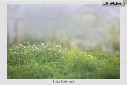 2020 Photo Overlay Bundle: Beach Backgrounds, Dirt Explosion, Stadium Light, Animal Overlays, Ribbon, Floral + more!