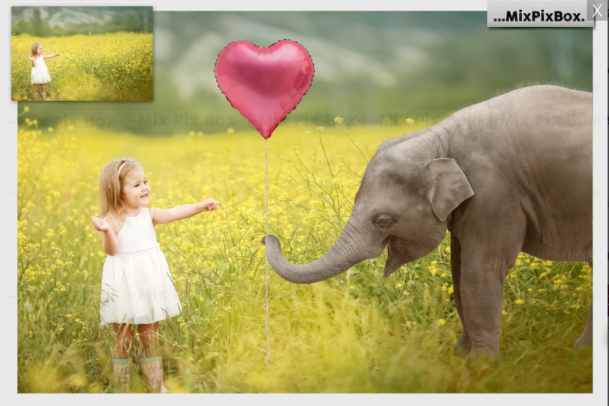 2020 Photo Overlay Bundle: Beach Backgrounds, Dirt Explosion, Stadium Light, Animal Overlays, Ribbon, Floral + more!