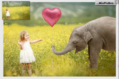 2020 Photo Overlay Bundle: Beach Backgrounds, Dirt Explosion, Stadium Light, Animal Overlays, Ribbon, Floral + more!