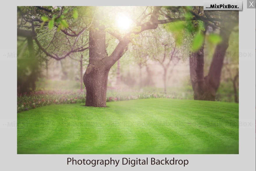 2020 Photo Overlay Bundle: Beach Backgrounds, Dirt Explosion, Stadium Light, Animal Overlays, Ribbon, Floral + more!