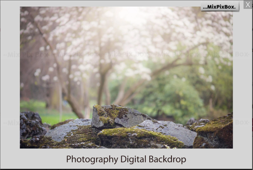 2020 Photo Overlay Bundle: Beach Backgrounds, Dirt Explosion, Stadium Light, Animal Overlays, Ribbon, Floral + more!