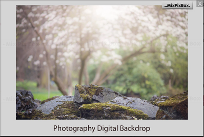 2020 Photo Overlay Bundle: Beach Backgrounds, Dirt Explosion, Stadium Light, Animal Overlays, Ribbon, Floral + more!