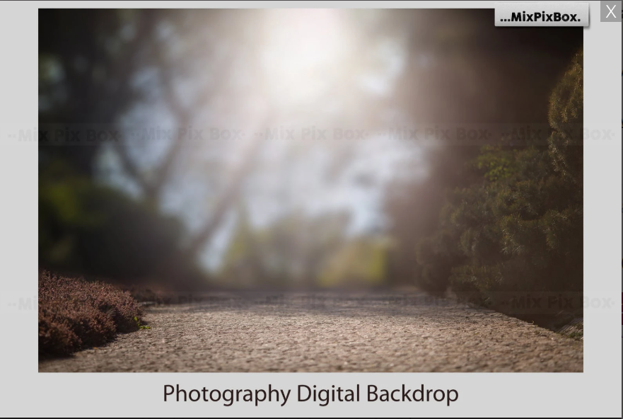 2020 Photo Overlay Bundle: Beach Backgrounds, Dirt Explosion, Stadium Light, Animal Overlays, Ribbon, Floral + more!