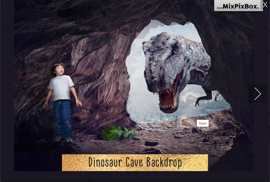 2020 Photo Overlay Bundle: Beach Backgrounds, Dirt Explosion, Stadium Light, Animal Overlays, Ribbon, Floral + more!