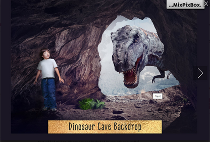 2020 Photo Overlay Bundle: Beach Backgrounds, Dirt Explosion, Stadium Light, Animal Overlays, Ribbon, Floral + more!