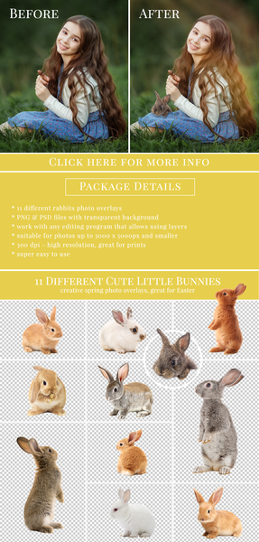 Spring Overlay Bundle: Bunnies, Magnolia, Butterflies, Lilacs, trees + more!