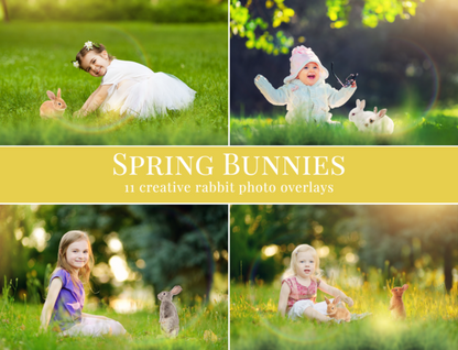 Spring Overlay Bundle: Bunnies, Magnolia, Butterflies, Lilacs, trees + more!