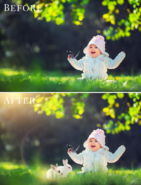 Spring Overlay Bundle: Bunnies, Magnolia, Butterflies, Lilacs, trees + more!