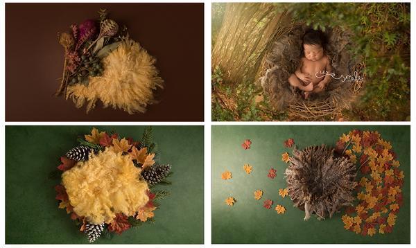 The Beautiful Newborn Boy Backdrop Collection {Includes 30 Backdrops}