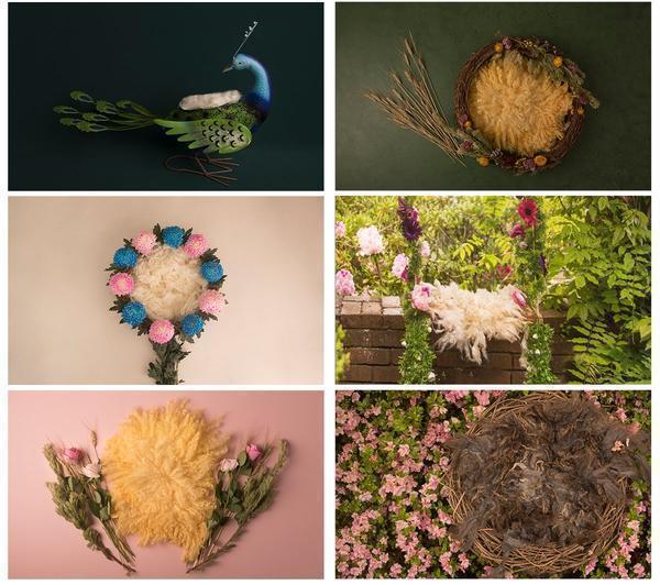 Complete Digital Newborn Backdrop Bundle *ALL OF THEM* + Tutorial Videos!