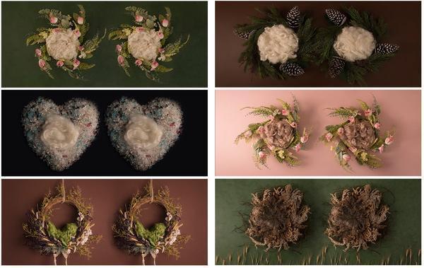 Complete Digital Newborn Backdrop Bundle *ALL OF THEM* + Tutorial Videos!