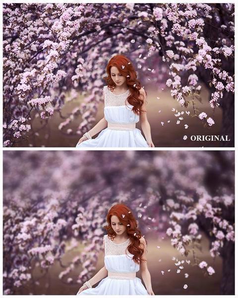 Over 800 Photoshop Actions, Overlays, Templates & More from Urban Bloom Actions