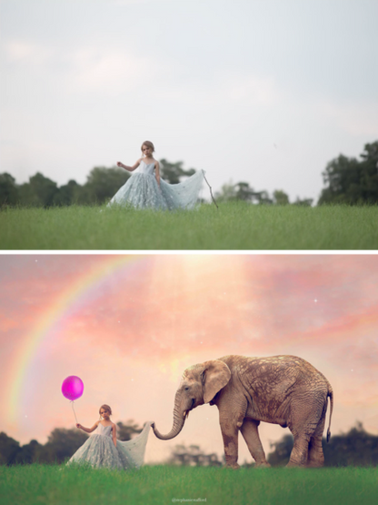 Imagine Series: Step by Step Composite Videos by Stephanie Stafford