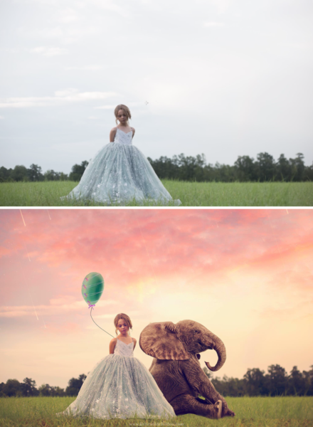 Imagine Series: Step by Step Composite Videos by Stephanie Stafford