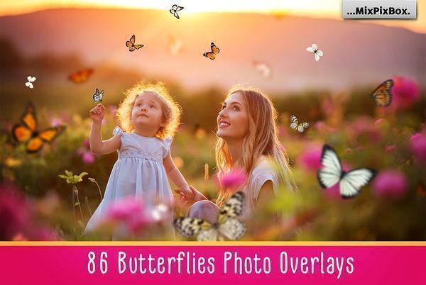 1700+ Photo Overlays, Long Exposure, Glitter, Number Balloons, Digital Papers + More!